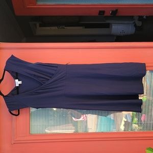 LOFT Navy Wrap Dress